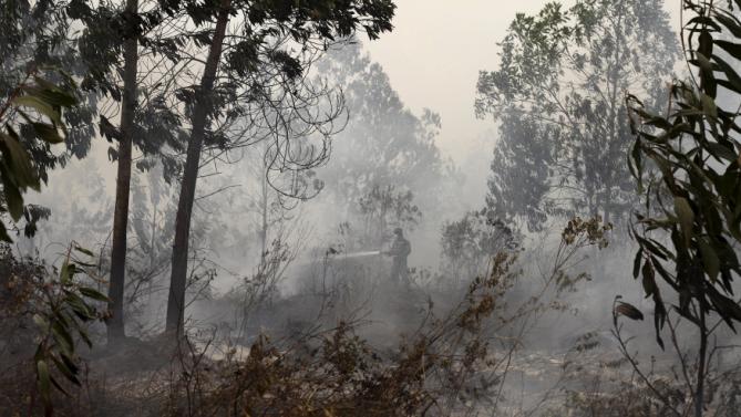 ӡ���������Ѿ�ʧȥ40%������