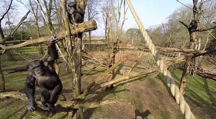 ���鳤�ࡷ��־����������ľ�������˻�������й���˼����