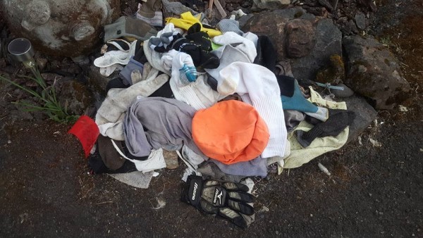 �������ո��ݾ������еĳ���èTigger��Ȼ�ǡ���͵��