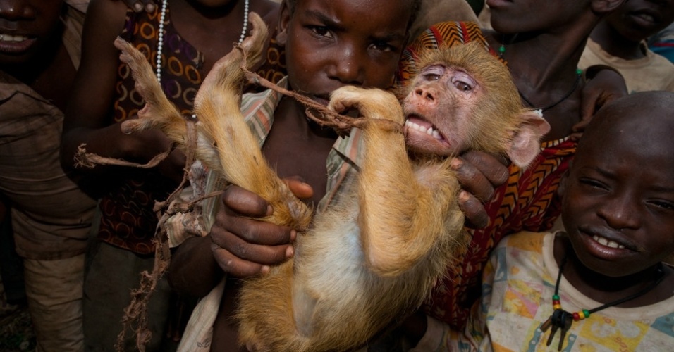 痛心一幕:非洲莫桑比克小孩出售被捕捉到的惊恐黄狒狒