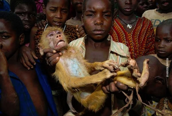痛心一幕:非洲莫桑比克小孩出售被捕捉到的惊恐黄狒狒