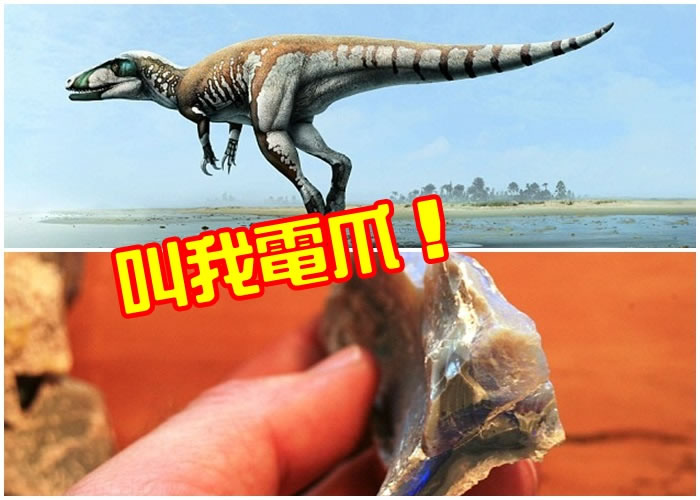 澳洲新发现的恐龙约长7米,是在当地有发现的最巨型肉食恐龙。