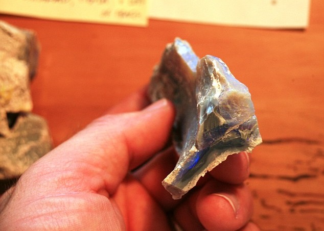 恐龙化石于莱特宁岭发现