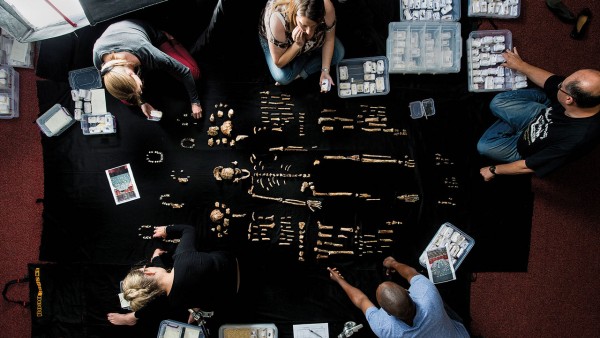 纳勒迪人——南非洞穴发现的人类新种