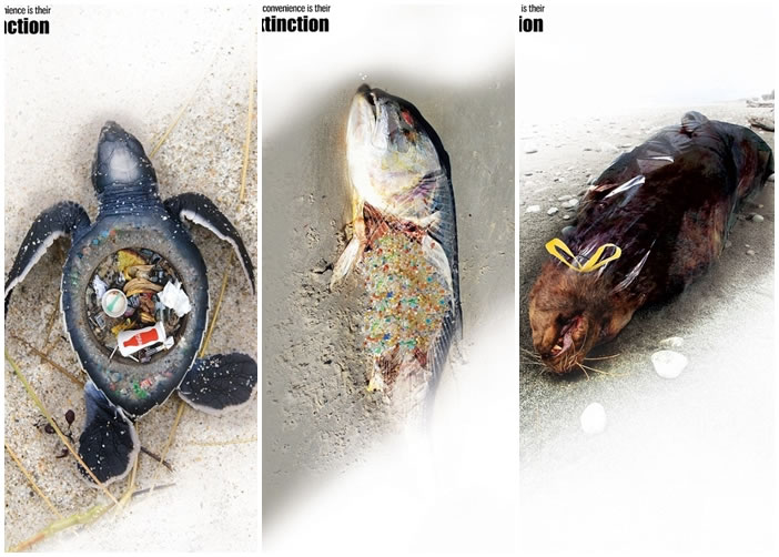 海报里的动物,体内都装有垃圾。