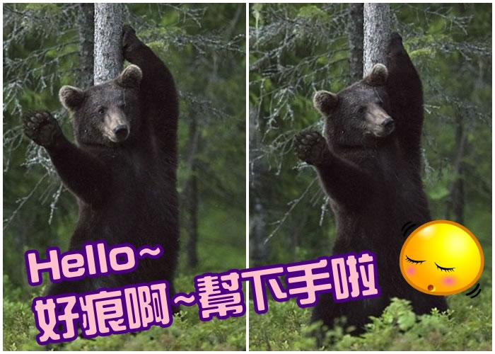 ����ץ����״�ƴ��к���