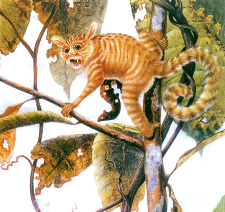 “世纪曙猿”形象复原