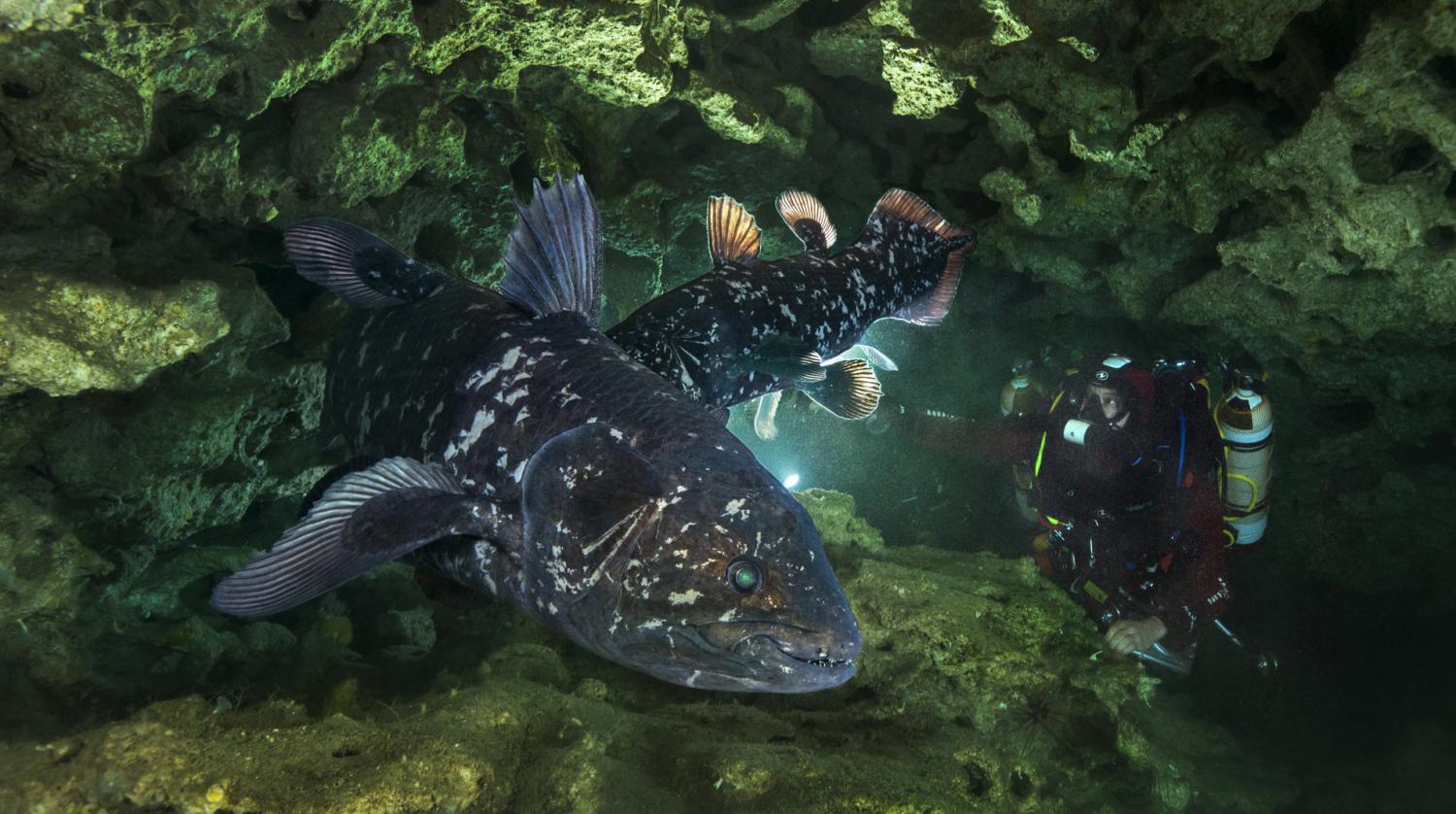 оȷϻŵǻзεĴڣپκʵʹ