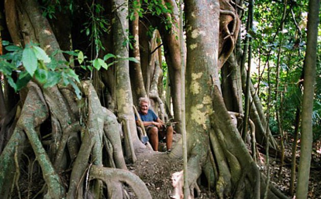 �����˰�̩ɽ�������Ĵ�����84�����̸����������������60��