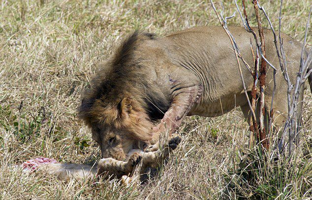 ̹ɣ׼ҹ԰ʨռдʨɱĺ