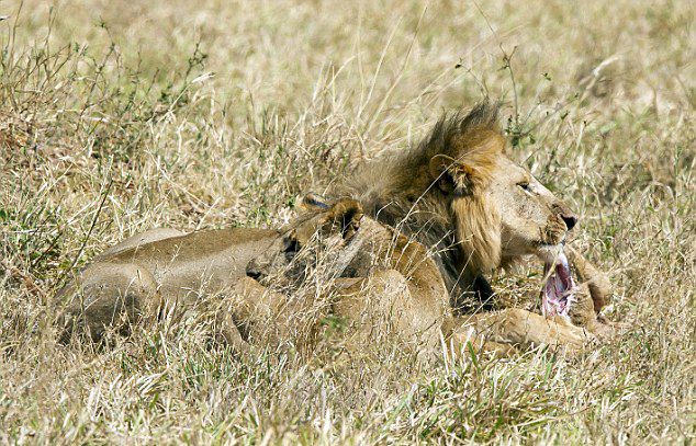 ̹ɣ׼ҹ԰ʨռдʨɱĺ