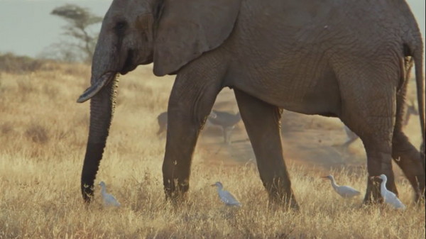 �ȸ�־������������ɣ��³���ҹ�԰���� ϣ��Э������Ƶ�پ��ֵĴ���