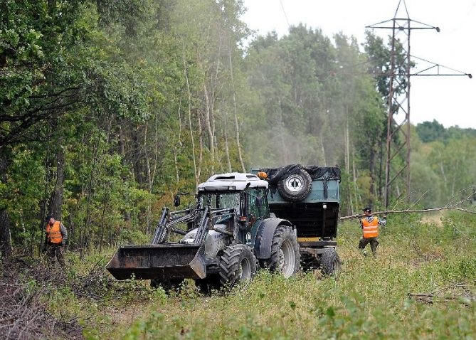 ������ʢ���г������ص㸽����������ľ��