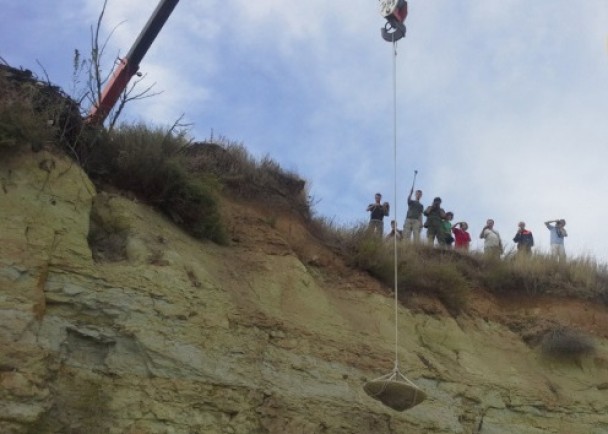 ��ʯ�����۵���