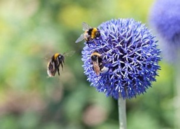 �����۷��ѡ���������䳲��͵ȡ���ۺͻ��ۡ�