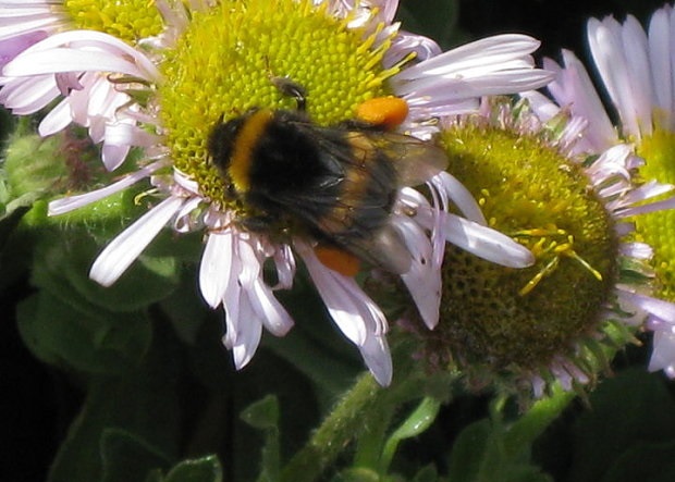 �۷���۵�ϰ�ԣ���ֵ���о���