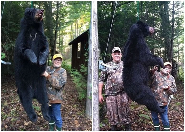 ��գ���ͼ����ɱһֻ220���ĺ��ܡ�