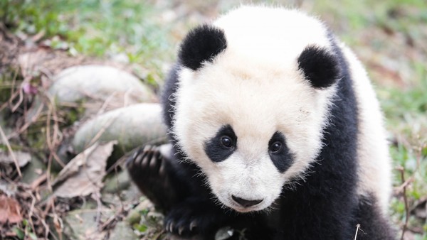 ������èҲ���԰�������������ͬһ��Ϣ�صĶ��