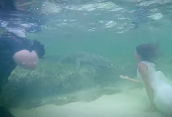 �����Ůģ��ī������ˮ����4�׳�����������湲Ӿ