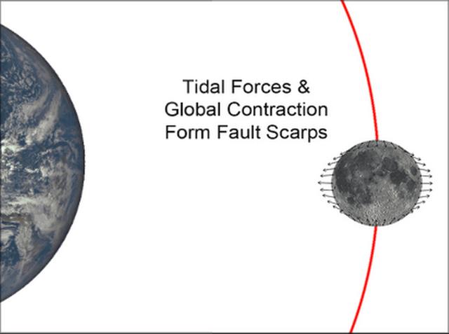 Ŀǰ����ѧ�������о���ʾ���ܵ����������ã������������ή��������������������ǧ���ϲ��ѷ죬�ѷ쳤�ȴﵽ10�����ȴﵽ��ʮ�ס�