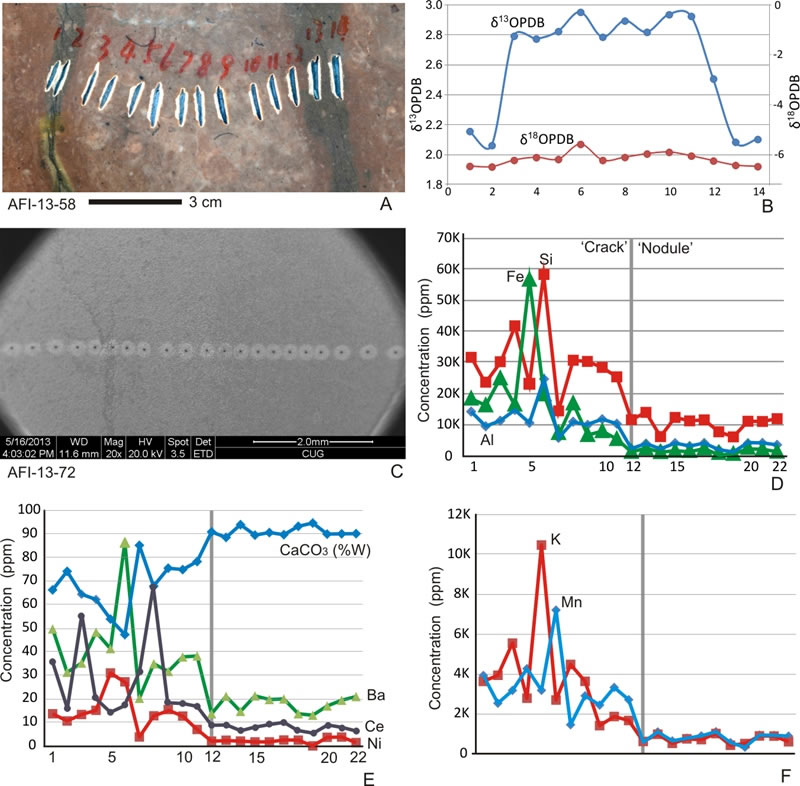 Ƶѧʾ C, O ԼICP-MS ԪغڵĲ죨޲죩ΪĹڱҵµĽṩ֤