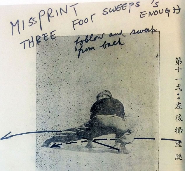 图为第11式“左后扫膛腿”。