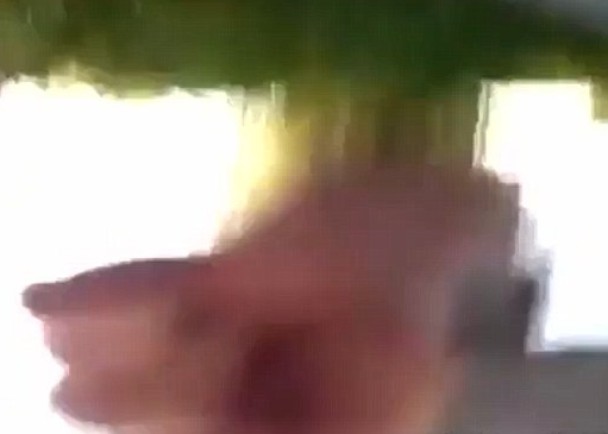 �����ŵ������ϵľ�ͷҲ����