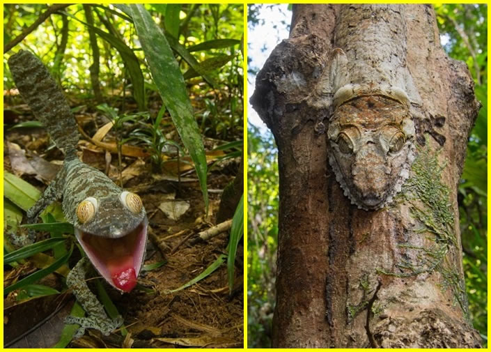 ������ɫ�����������ϣ���ͼ�������Է��֡�