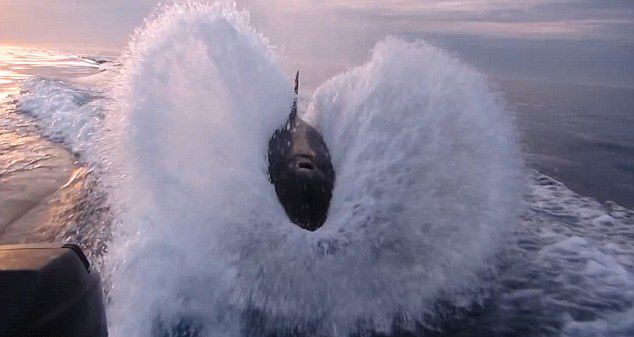 ������������ʱ���º��������㵽ɱ�˾��洬����ĳ���