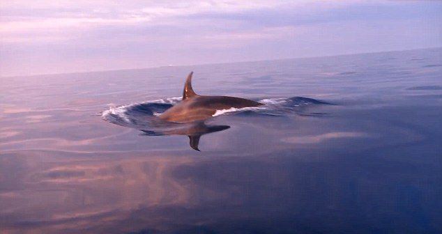 ������������ʱ���º��������㵽ɱ�˾��洬����ĳ���