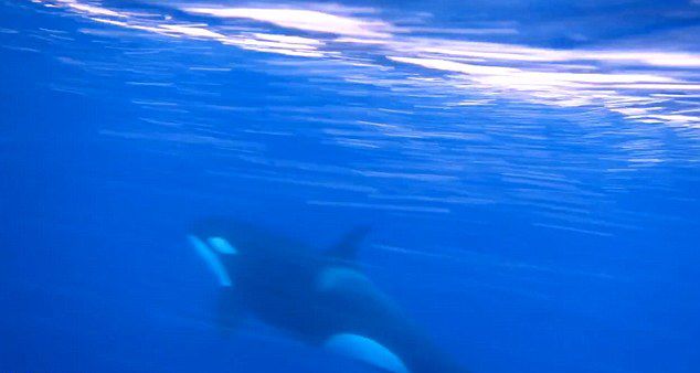 ������������ʱ���º��������㵽ɱ�˾��洬����ĳ���