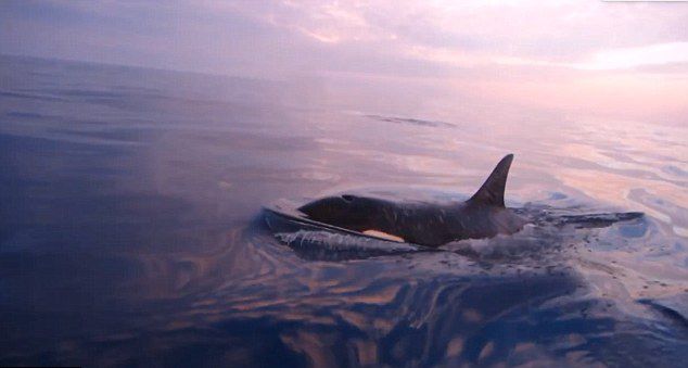 ������������ʱ���º��������㵽ɱ�˾��洬����ĳ���