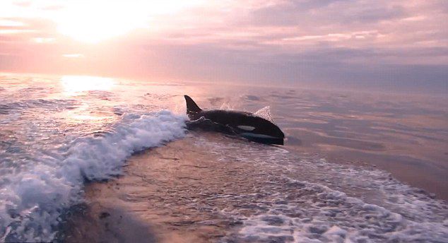 ������������ʱ���º��������㵽ɱ�˾��洬����ĳ���