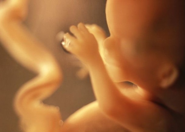 缺乏5α还原酶令,会令男胎儿在母体孕育时长不出阴茎。