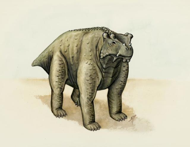二叠纪爬行动物“阿科坎瘤头龙”能像牛或
