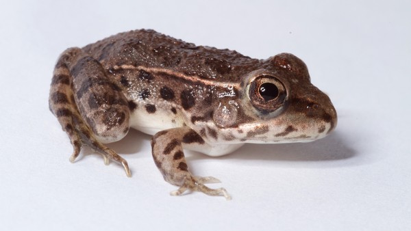 ��ʱ����ò�Ҫ��ͼ�����Щɱ����������