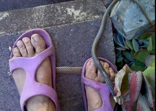 Ů�Ӵ���Ь�Ⱦ綾�ڱ��� ר�ң�̫ɵ̫����