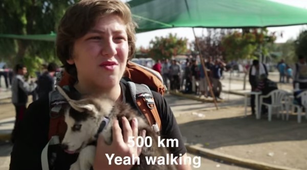 叙利亚少年为哈士奇做护照 走过500公里带它远离战火