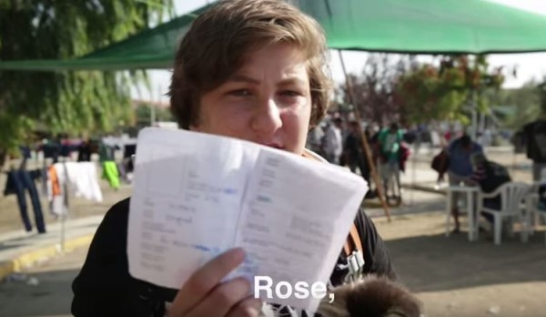 叙利亚少年为哈士奇做护照 走过500公里带它远离战火