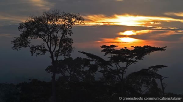 -ʼ¼ͷŵܸı˵ϵҰ