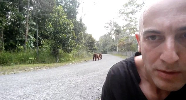 �����������Ӻ����ɵĸ�Ц����