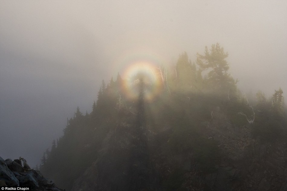 οɽҹ԰㵽޿顱Brocken Spectre⡱