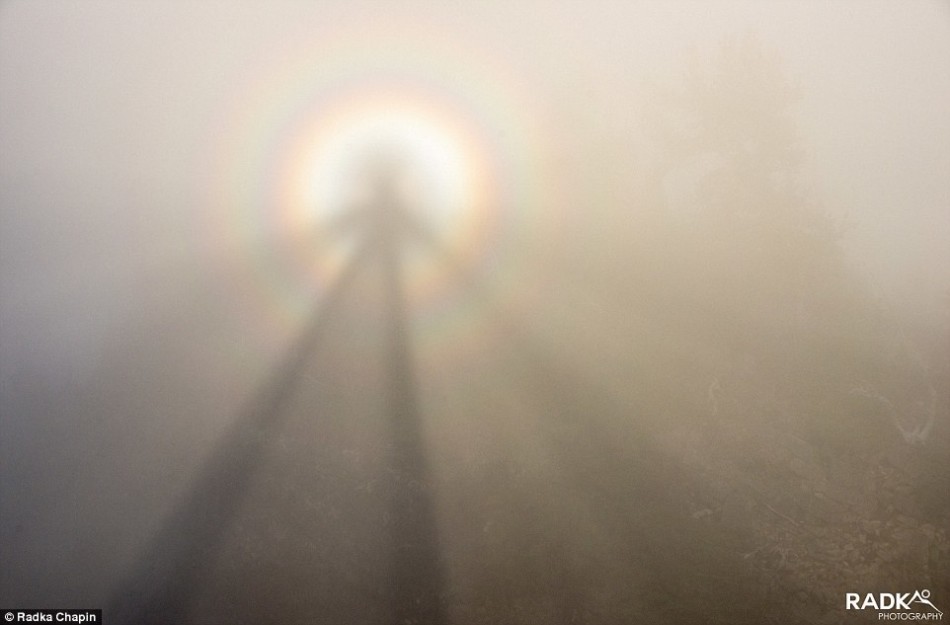 ڵɽ£ɽߵӰֳصΡӰڲͬˮϣӹ۲ߵӽǿȥľС