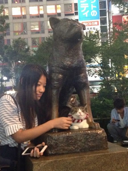 ����Сè��飬�ð˹�������������ô�������ˣ�