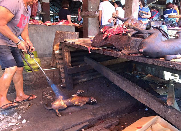 ӡ���������г�������ɱè��