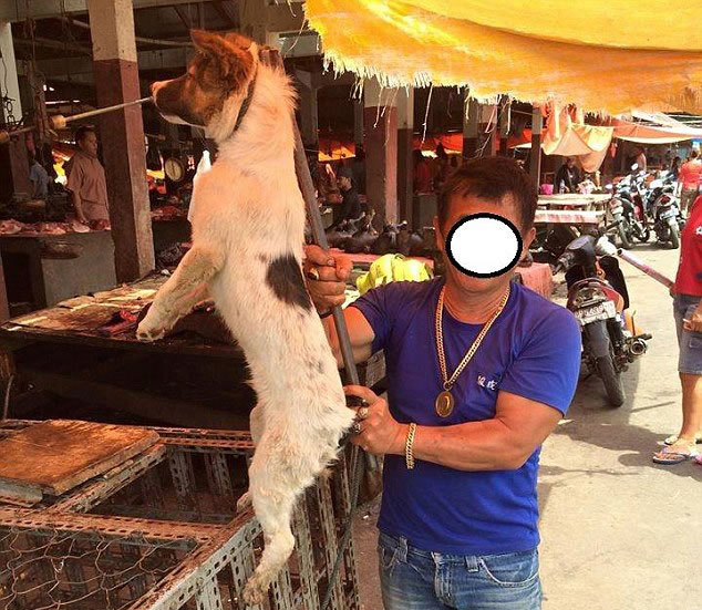 ӡ���������г�������ɱè��