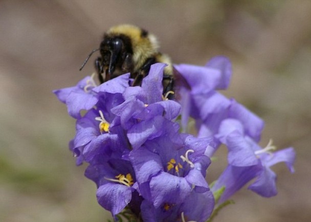 �۷���ͷ������������������