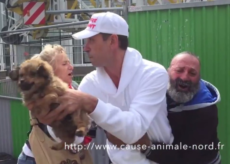 法国爱护动物组织强抢街头流浪汉的爱犬 - 神