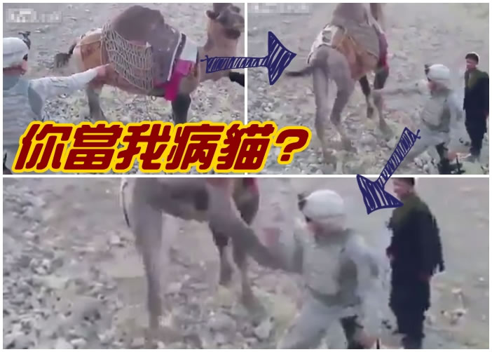 һ������Ц��Ҫ������ǰ�����գ�ȴ����������š����У���Ķ��ӡ�