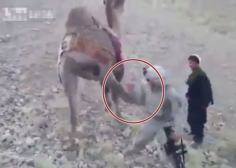 ����ͻȻһ�Ӻ�ţ�Ӧ�����������ĺ��ϣ���Ȧʾ����